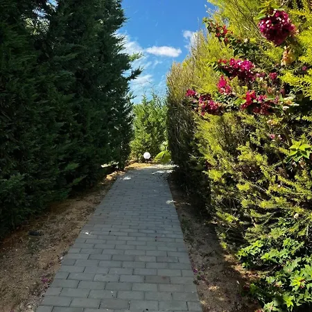 By Gabi Miguel Villa Pêra